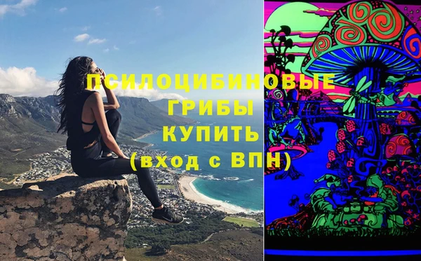 дмт Арсеньев