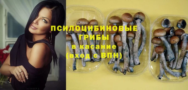 COCAINE Няндома